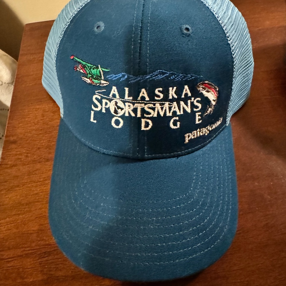 Patagonia trucker hat, nwot
